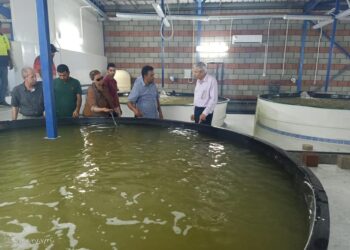 «الزراعة» رئيس هيئة الثروة السمكية يتفقد مشروعات الثروة السمكية بمنطقة بورسعيد