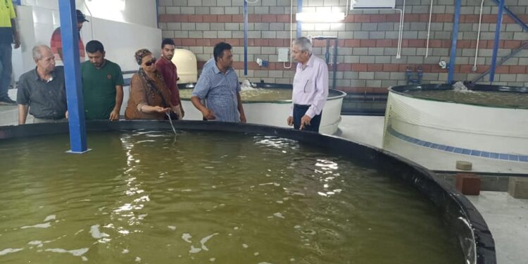 «الزراعة» رئيس هيئة الثروة السمكية يتفقد مشروعات الثروة السمكية بمنطقة بورسعيد 1 «الزراعة» رئيس هيئة الثروة السمكية يتفقد مشروعات الثروة السمكية بمنطقة بورسعيد