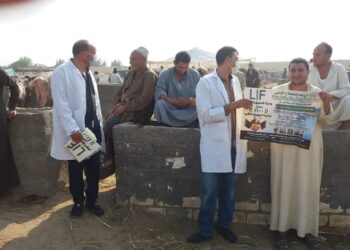 صندوق التأمين على الثروة الحيوانية يواصل حملات التوعية باسواق الماشية بـ “البحيرة”