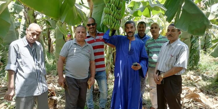 "الزراعة" تواصل تقديم الدعم الفني والخدمات الارشادية للمزارعين في ٨ محافظات 1 “الزراعة” تواصل تقديم الدعم الفني والخدمات الارشادية للمزارعين في ٨ محافظات