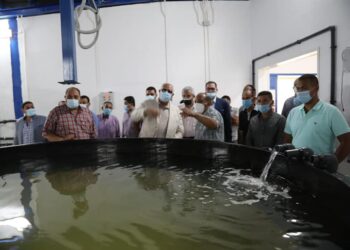 «وزير الزراعة» يتفقد أعمال التطوير بالمفرخ السمكي بالاسكندرية