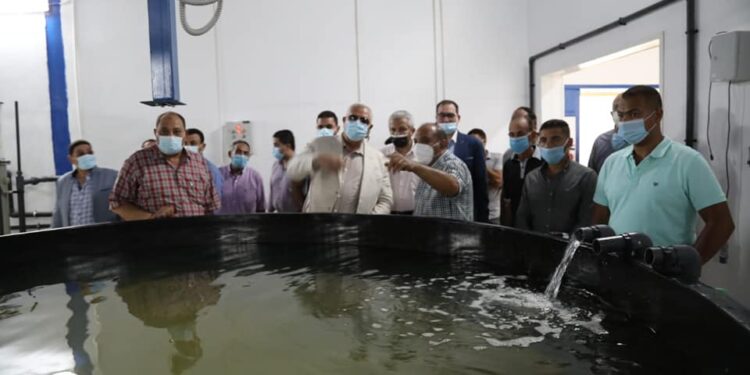 «وزير الزراعة» يتفقد أعمال التطوير بالمفرخ السمكي بالاسكندرية 1 «وزير الزراعة» يتفقد أعمال التطوير بالمفرخ السمكي بالاسكندرية