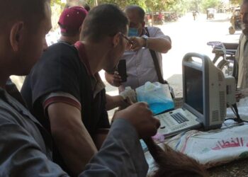 قافلة بيطرية