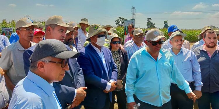 الزراعة تنظيم يوم حقلي للأرز والذرة الشامية وحصاد بعض الأصناف الجديدة في بمحطة بحوث سخا 1 الزراعة تنظيم يوم حقلي للأرز والذرة الشامية وحصاد بعض الأصناف الجديدة في بمحطة بحوث سخا