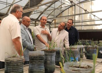 “العليا لزراعة الأنسجة” تتفقد معمل إكثار النخيل بمركز بحوث الصحراء