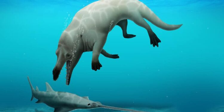 اكتشاف حوت برمائي عاش في مصر قبل 43 مليون عام