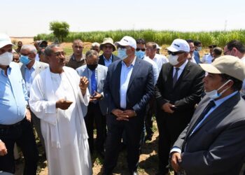 وزير الزراعة ومحافظ قنا يتفقدان حقول زراعية بنظام الرى الحديث بنجع حمادي