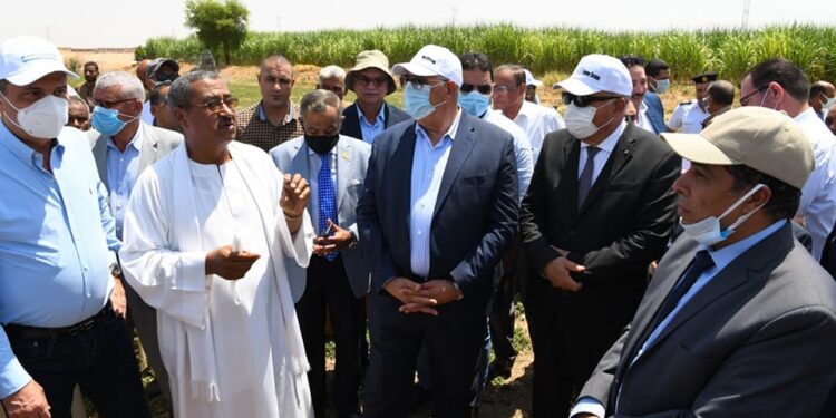 وزير الزراعة ومحافظ قنا يتفقدان حقول زراعية بنظام الرى الحديث بنجع حمادي 1 وزير الزراعة ومحافظ قنا يتفقدان حقول زراعية بنظام الرى الحديث بنجع حمادي