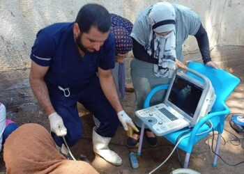 «الزراعة» تفحص وتعالج  5900 رأس ماشية مجانا لصغار المزارعين بلمنوفية في إطار ” حياة كريمة”