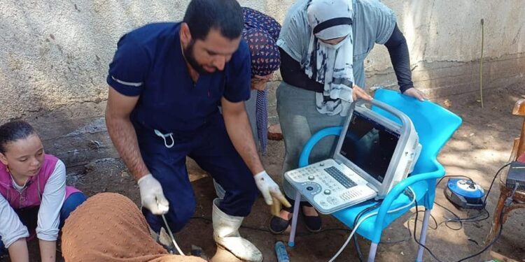 «الزراعة» تفحص وتعالج 5900 رأس ماشية مجانا لصغار المزارعين بلمنوفية في إطار " حياة كريمة" 1 «الزراعة» تفحص وتعالج  5900 رأس ماشية مجانا لصغار المزارعين بلمنوفية في إطار ” حياة كريمة”