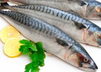 “الماكريل”  يحسن القدرات العقلية ويحمي من الزهايمر