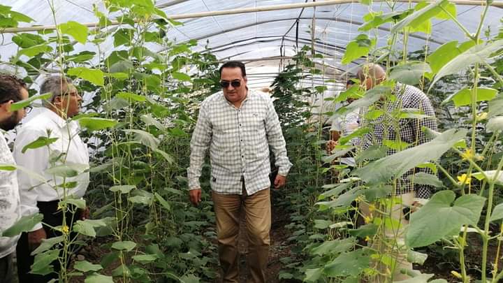 وكيل زراعة دمياط يتفقد صوب اتحاد اتحاد المجالس الزراعية