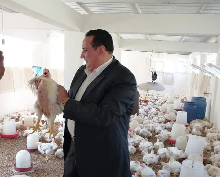 "صوبة ومنحل و عنبر دواجن".. هكذا حولت زراعة دمياط أحد الأصول غير المستغلة 12 المهندس سميع عبدالسميع مدير مديرية الزارعة بدمياط يتفقد عنبر الدواجن