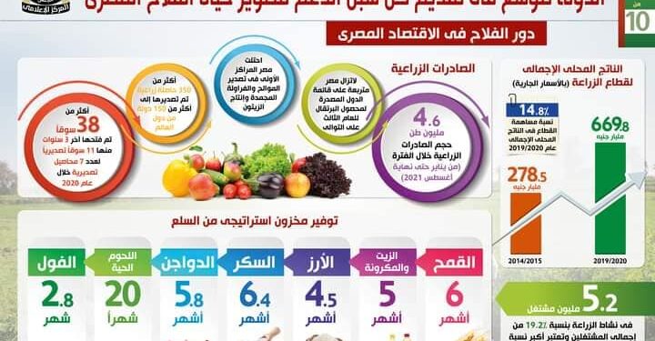 إنفوجراف يوضح جهود الدولة في دعم وتطوير حياة الفلاح المصري بعيده السنوي 1 إنفوجراف يوضح جهود الدولة في دعم وتطوير حياة الفلاح المصري  بعيده السنوي