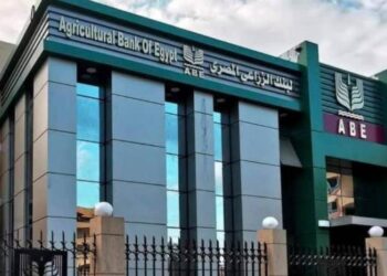 «عزوز» يكشف عن بنوك وطنية تقرض الفلاح على 10 سنوات دون فائدة