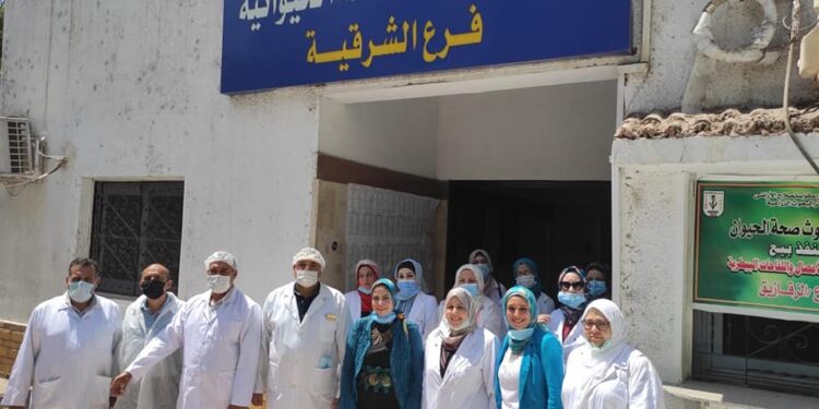 "الصحة الحيوانية" ينفذ ورشة عمل وزيارة تفقدية لنظم الأمن والأمان الحيوى والكيميائى بالزقازيق 1 “الصحة الحيوانية” ينفذ ورشة عمل وزيارة تفقدية لنظم الأمن والأمان الحيوى والكيميائى بالزقازيق