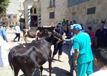 قافلة بيطرية مجانية