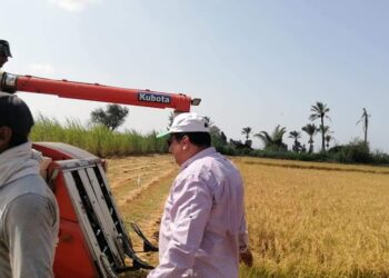 وكيل زراعة دمياط يتابع حصاد محصول الأرز
