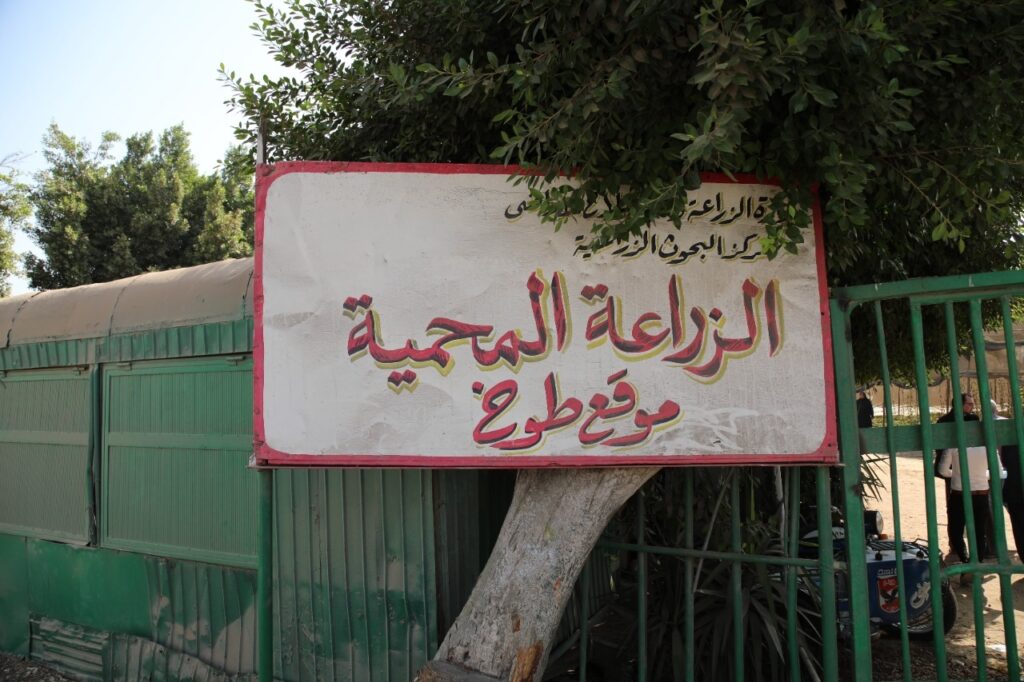 "القصير" يتفقد الأصول التابعة للزراعة بمحافظة القليوبية
