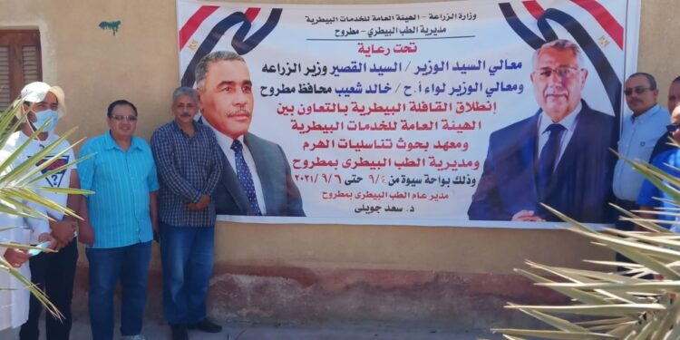 الزراعة تنظم قافلة بيطرية مجانية بمحافظة مطروح 1 الزراعة تنظم قافلة بيطرية مجانية بمحافظة مطروح
