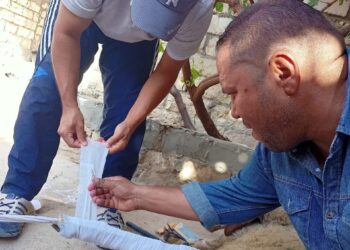 قافلة بيطرية مجانية للزراعة بمدينة سيوة