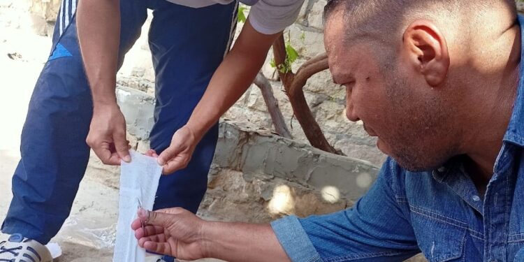 الزراعة تعلن فحص وعلاج 3187 حيوان ل 700 مستفيد بمطروح 1 قافلة بيطرية مجانية للزراعة بمدينة سيوة