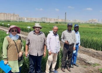 ننشر أنشطة معهد بحوث أمراض النباتات خلال شهر أغسطس2021