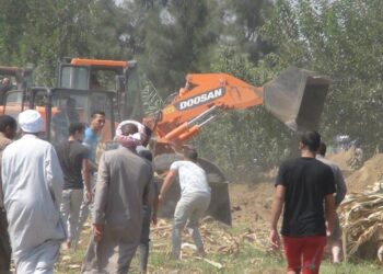 رئيس هيئة الثروة السمكية يقود حملة لإزالة التعديات على أراضى الدولة