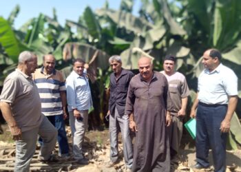 اللجنة العلمية للموز أثناء المرور على المزارع في الغربية