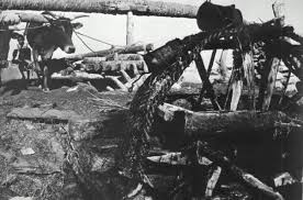 أصوات «السواقي الدوارة» في ذاكرة الفلاح المصري