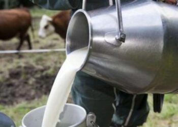 الفاقد في الألبان ومنتجاتها