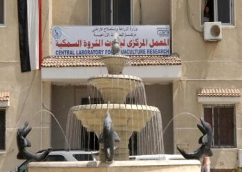 “بحوث الثروة السمكية” ينظم برنامجًا تدريبيًا حول معاملات مابعد الحصاد
