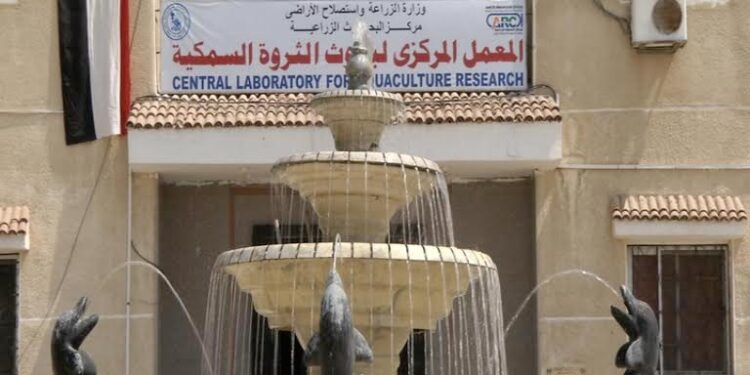 "بحوث الثروة السمكية" ينظم برنامجًا تدريبيًا حول معاملات مابعد الحصاد 1 “بحوث الثروة السمكية” ينظم برنامجًا تدريبيًا حول معاملات مابعد الحصاد