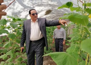 "صوبة ومنحل و عنبر دواجن".. هكذا استغلت زراعة دمياط أحد الأصول