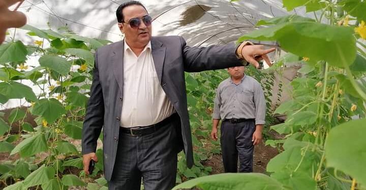 "صوبة ومنحل و عنبر دواجن".. هكذا استغلت زراعة دمياط أحد الأصول