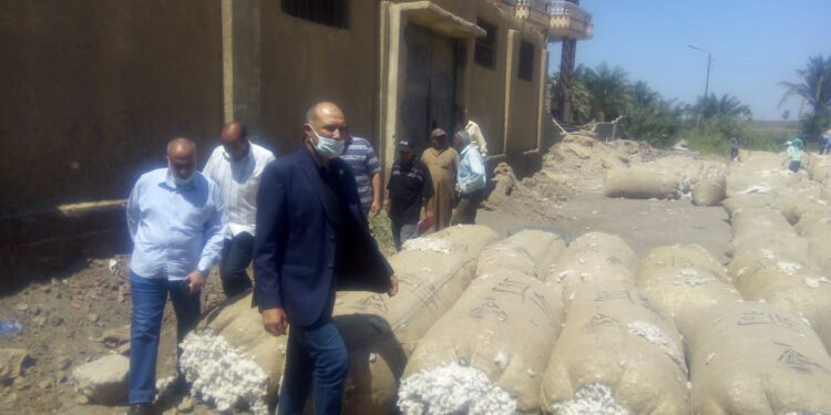 “قطاع الأعمال “تحدد سعر قنطار القطن في أحدث المزادات بالفيوم