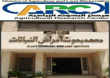 “أمراض النباتات” ينظم تدريبا حول زراعة الأنسجة النباتية