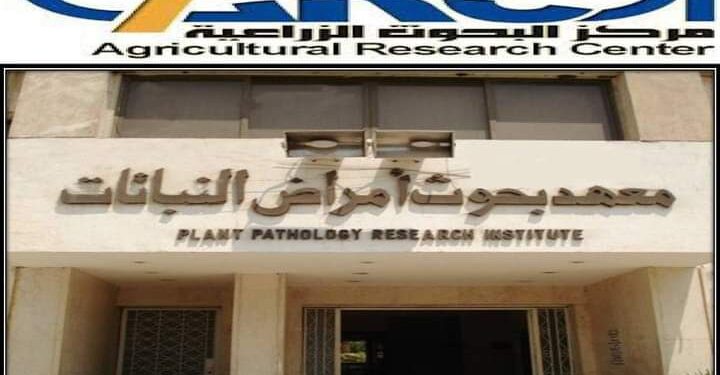 “أمراض النباتات” ينظم تدريبا حول زراعة الأنسجة النباتية