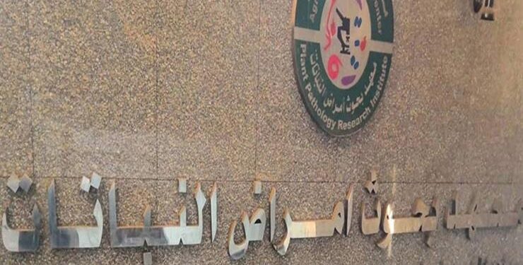 باحث بمعهد أمراض النباتات يحصل على لقب المحرر المتميز لعام 2020 من دار نشر بريطانية 1 أمراض النباتات ينظم برنامج تدريبي عن طرق مكافحة أمراض المحاصيل الحقلية والبستانية