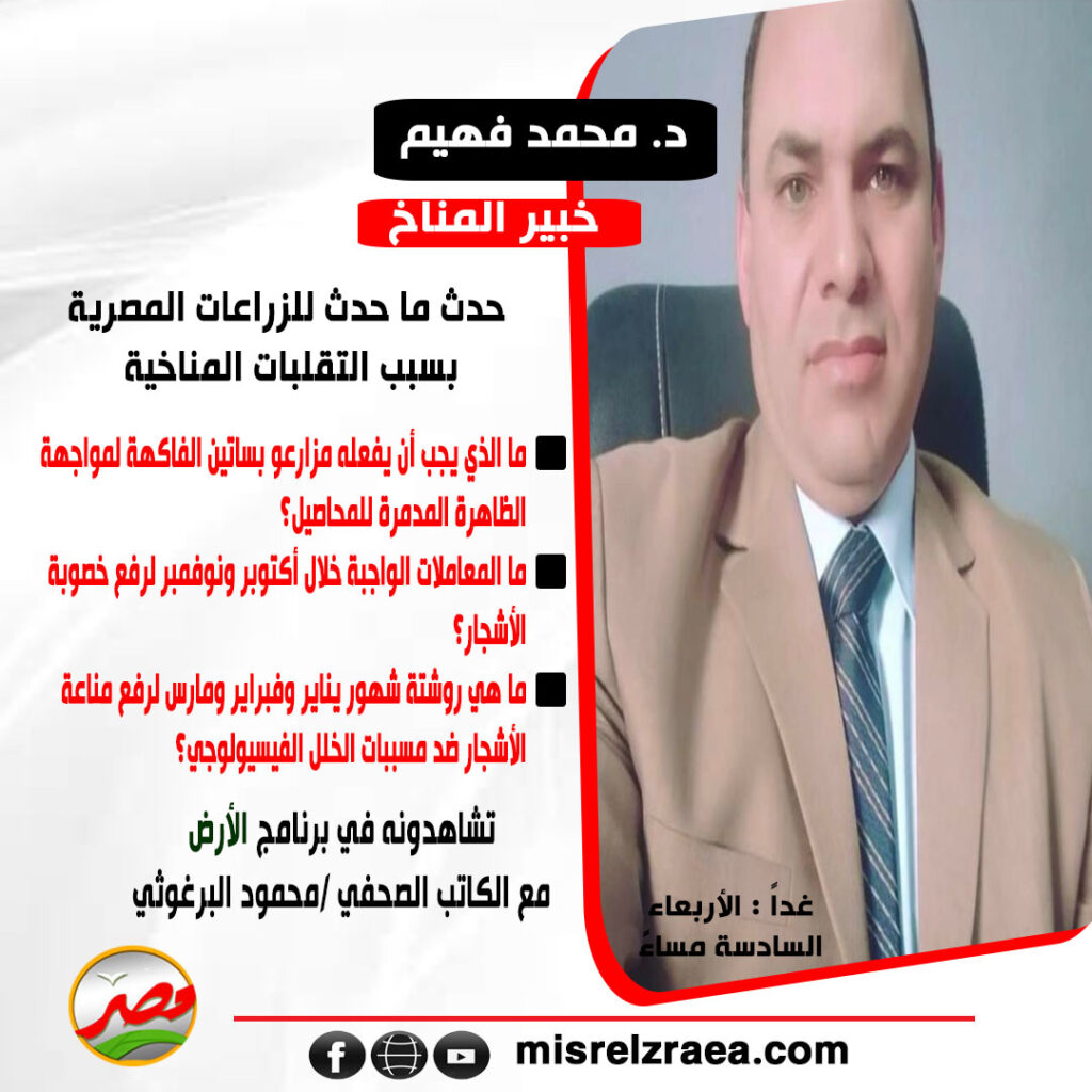 سيبليسبل