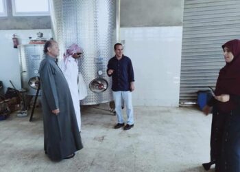 تقاوي "القمح والشعير" بنصف الثمن في «جنوب سيناء»