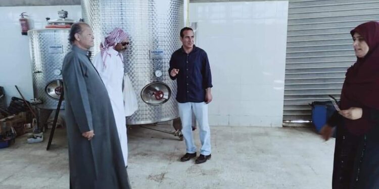 تقاوي "القمح والشعير" بنصف الثمن في «جنوب سيناء» 1 تقاوي "القمح والشعير" بنصف الثمن في «جنوب سيناء»