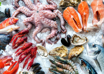 أسعار السمك