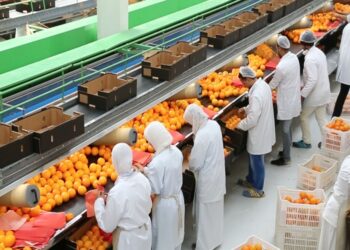 منظومة التكويد الجديدة