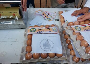 سعر طبق البيض في منافذ "الزراعة" 45 جنيه  8 البيض