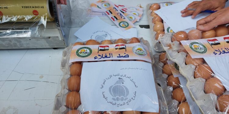 سعر طبق البيض في منافذ "الزراعة" 45 جنيه  1 البيض