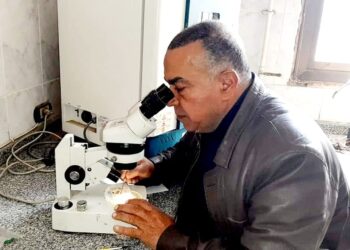الزراعة تواصل تطوير معامل معهد بحوث “أمراض النباتات”