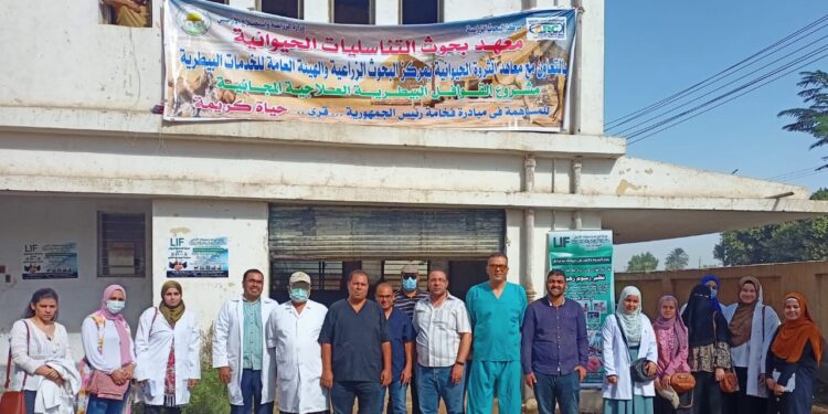 الزراعة: انطلاق قافلة بيطرية مجانية بمحافظة المنيا 1 قافلة بيطرية مجانية