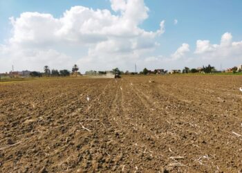 ترشيد استخدام المياه