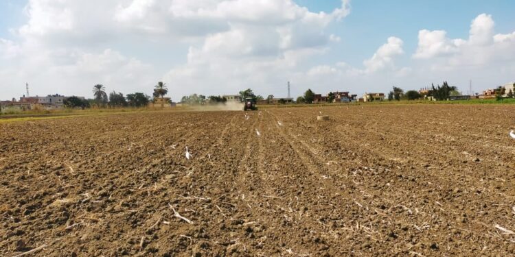 تسوية الأرض بالليزر في الشرقية في إطار ترشيد استخدام المياه 1 ترشيد استخدام المياه